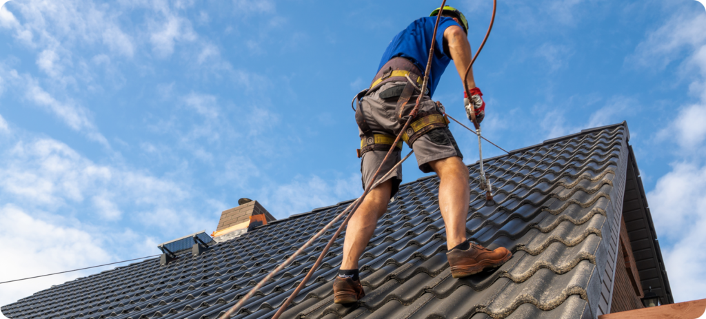 Roof Painting